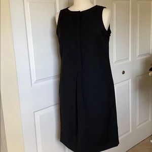 Brooks Brothers Dress (LR1)